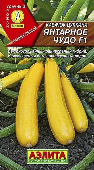 Семена Кабачок цуккини Янтарное Чудо F1 (5 семян) - Аэлита #1