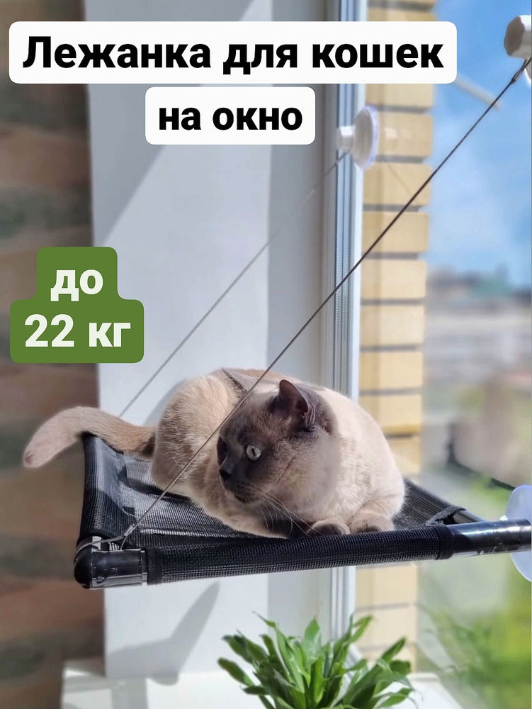 Лежанка для кошки своими руками: 5 простых моделей, которые легко сшить