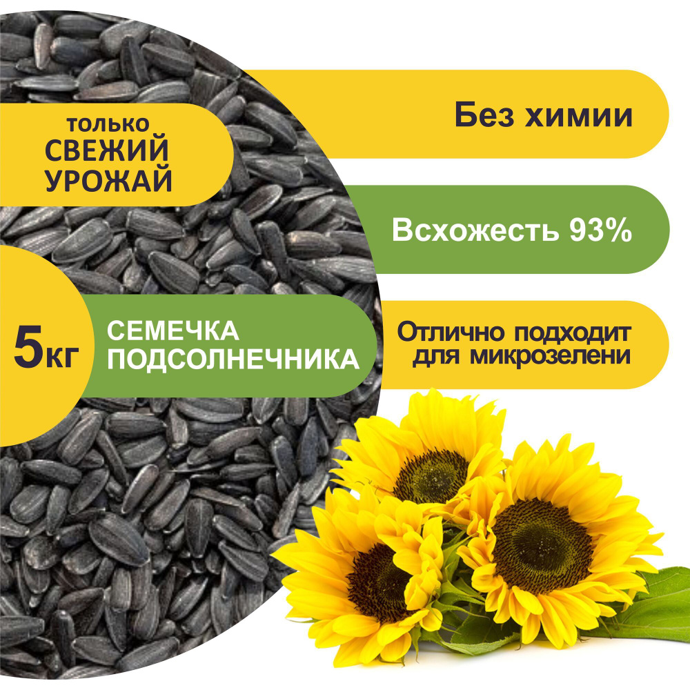 Семечки подсолнечника сырые 5 кг микрозелень семена для проращивания ...