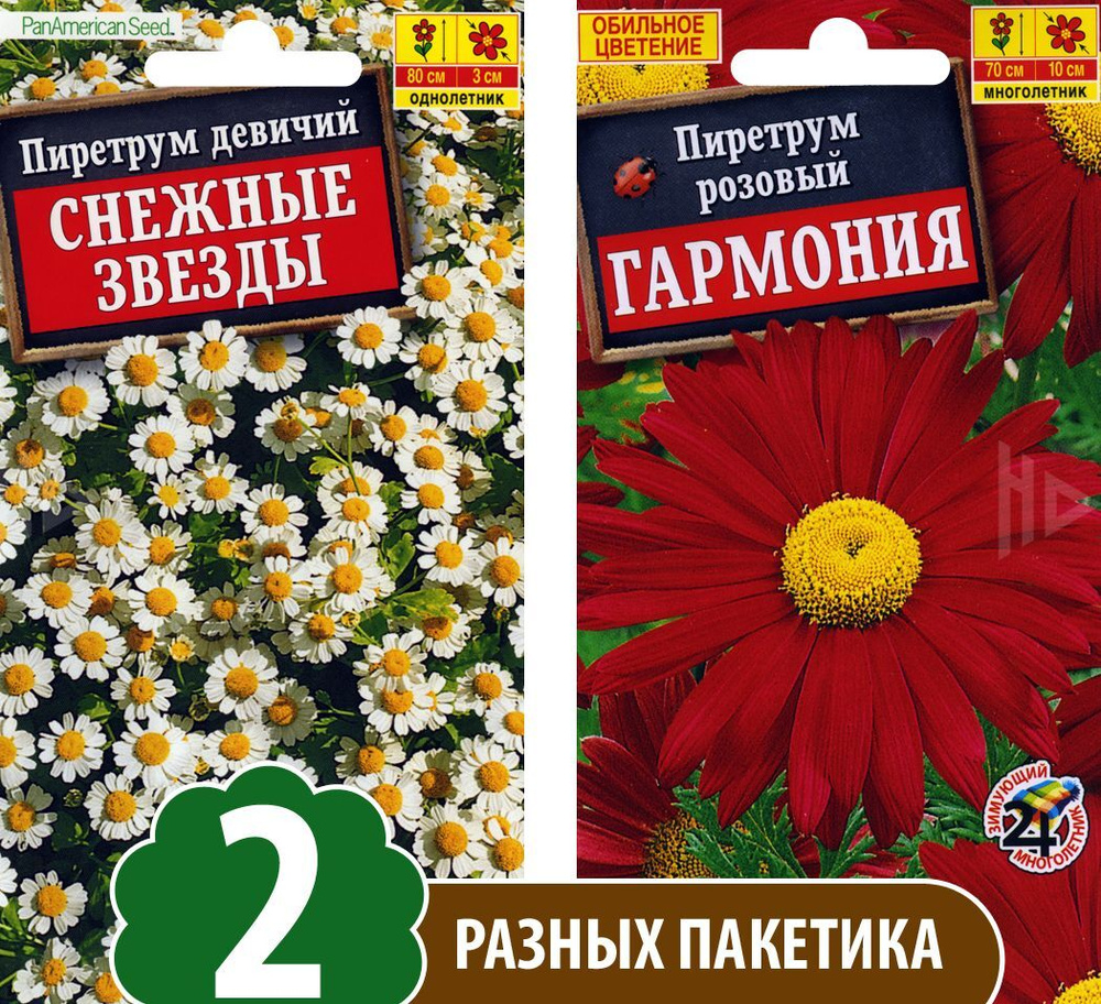 Семена Пиретрум перистый Гармония + Пиретрум девичий Снежные Звезды, 2 разных пакетика  #1