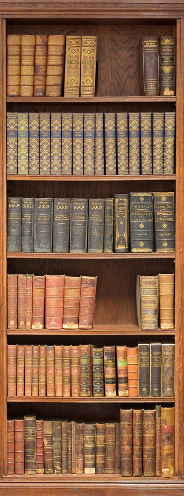 Фотообои на стену HARMONY Decor HD1-069 Книги в шкафу, 100 х 270 см, флизеиновые  #1