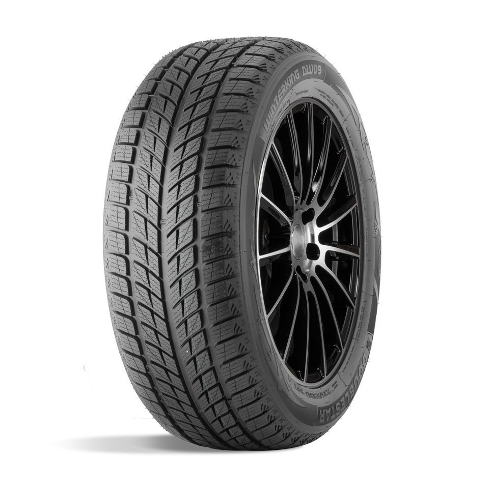 Doublestar DW09 Шины зимние 215/45 R17 91H Нешипованные