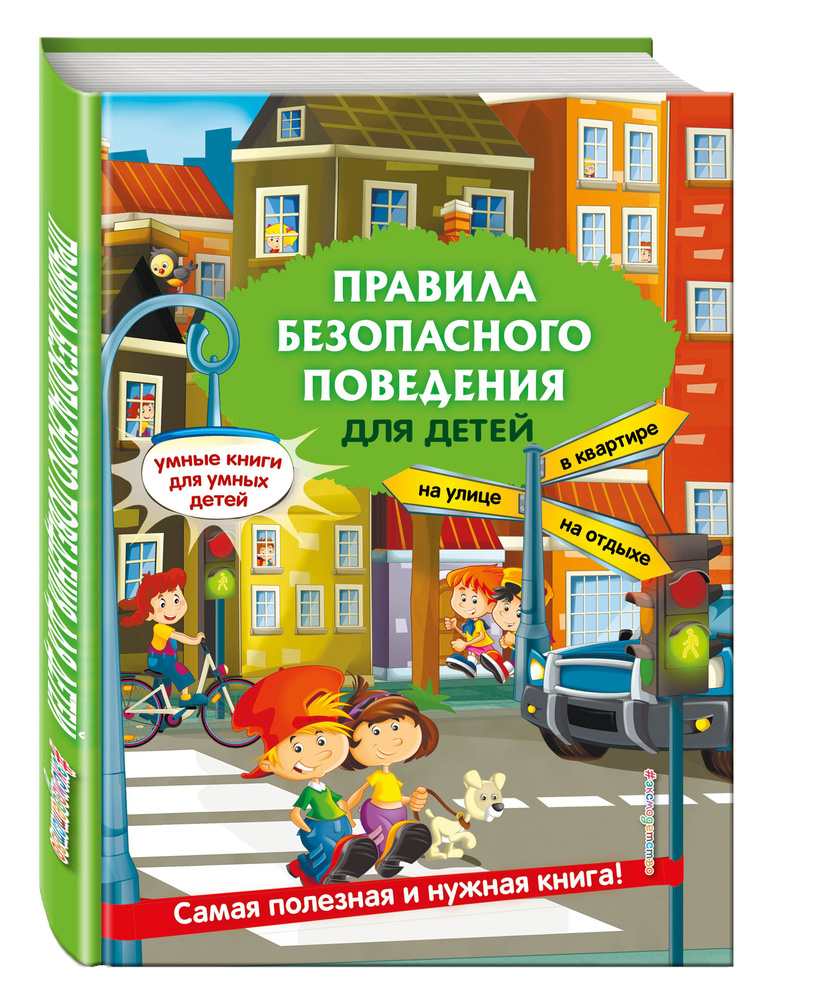 Правила безопасного поведения для детей | Василюк Юлия Сергеевна - купить с  доставкой по выгодным ценам в интернет-магазине OZON (249423535)