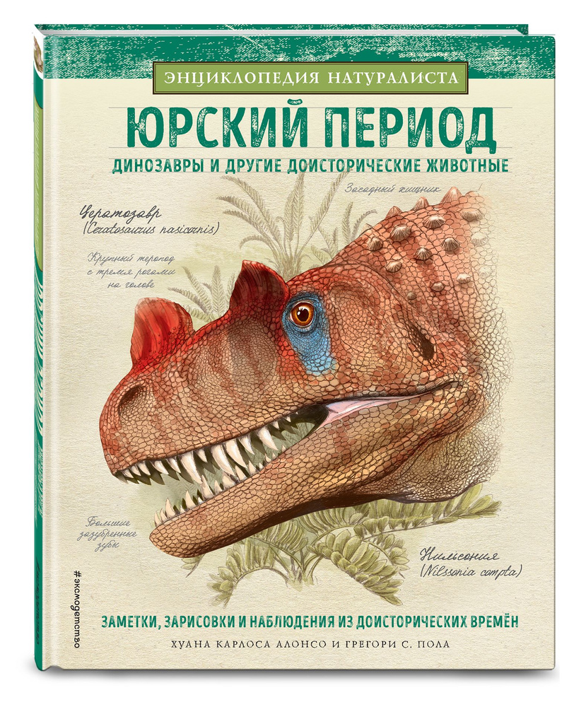 Юрский период. Динозавры и другие доисторические животные | Алонсо Хуан  Карлос - купить с доставкой по выгодным ценам в интернет-магазине OZON  (250971775)