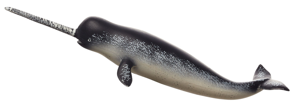 Narwhals' Photographic Print - Christian Darkin Art.com Narwhal, Whale species, 