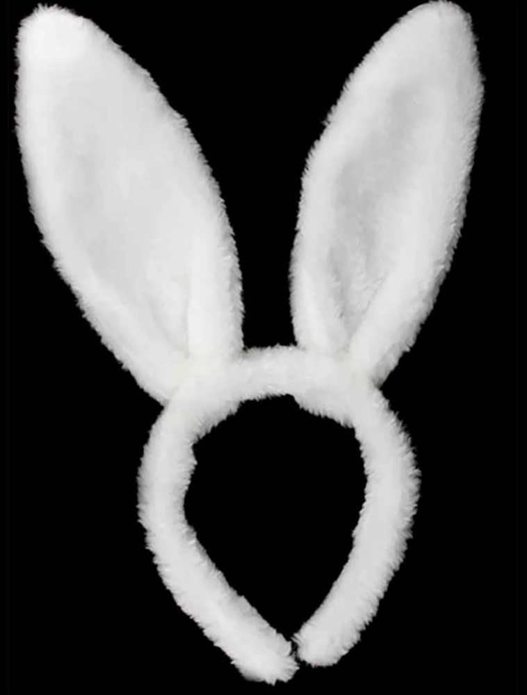 Spirit Animal Jack rabbit, Rabbit, Rabbit facts