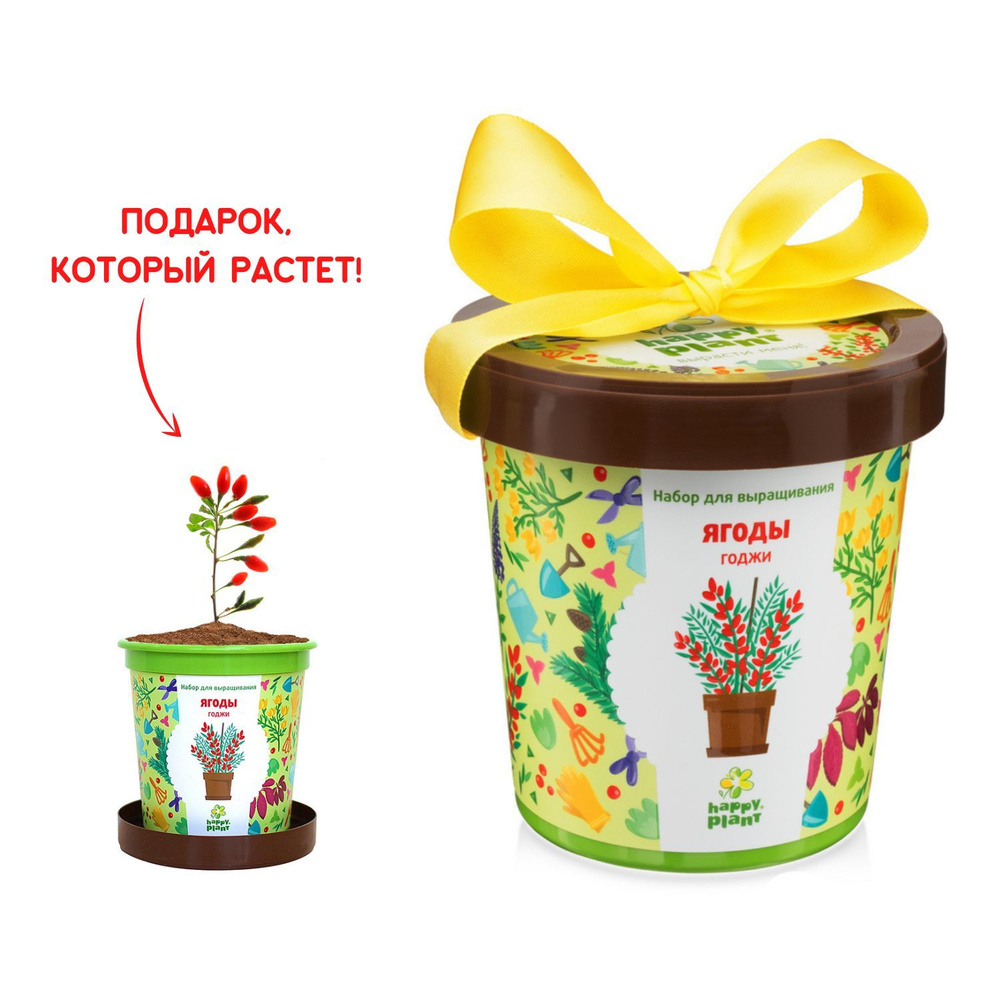 Набор для выращивания растений Happy Plant Ягоды Годжи, семена комнатных  растений в подарочном горшке