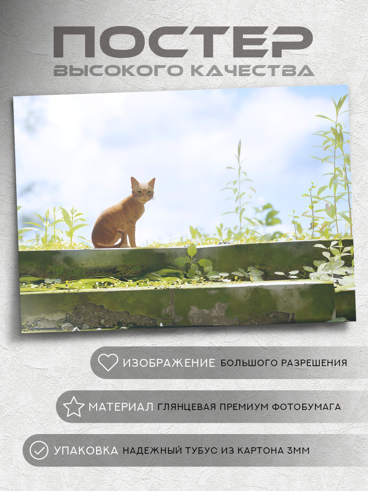 Постер Stray game #1
