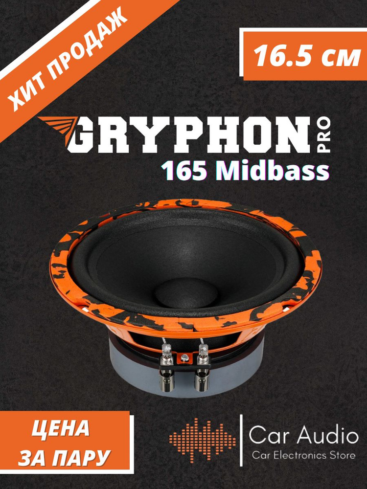 Колонки для автомобиля DL Audio Gryphon Pro 165 Midbass / эстрадная акустика 16,5 см. (6 дюймов) / комплект #1