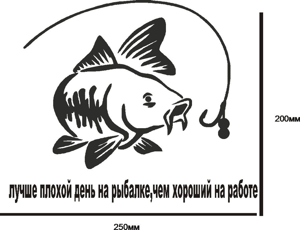 Наклейка на авто - Карп - купить по выгодным ценам в интернет-магазине ...