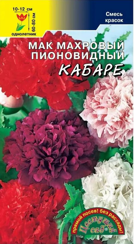 Мак махровый пионовидный Кабаре (семена Цветущий сад), 0,1 г. Не нужно рассады!  #1