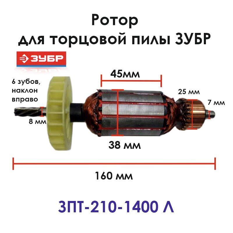 Ротор (якорь) для торцовочной пилы ЗУБР ЗПТ-210-1400 Л - купить по ...