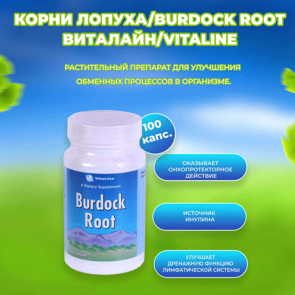 Корни лопуха / Burdock Root/Виталайн/100 капсул #1