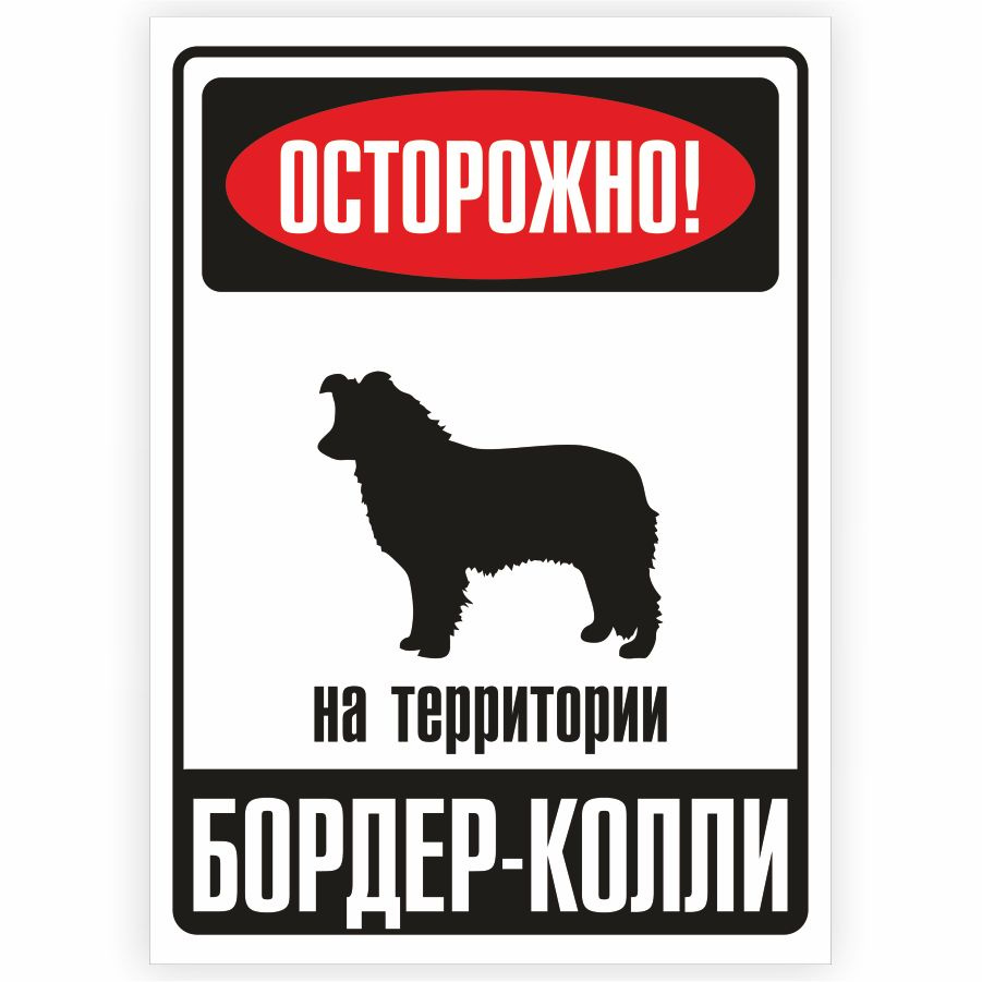 Табличка, металлическая, DANGER DOG, Осторожно! На территории Бордер-колли, 18x25 см  #1