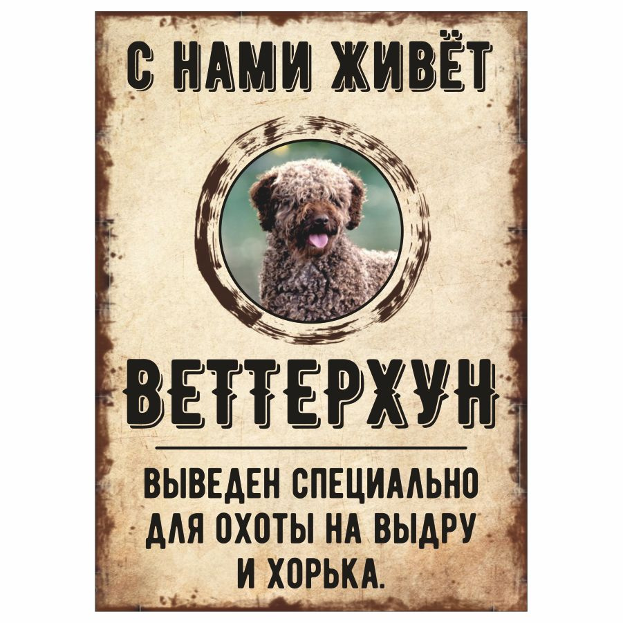 Табличка, декоративная, DANGER DOG, С нами живет Веттерхун, 18см х 25см  #1