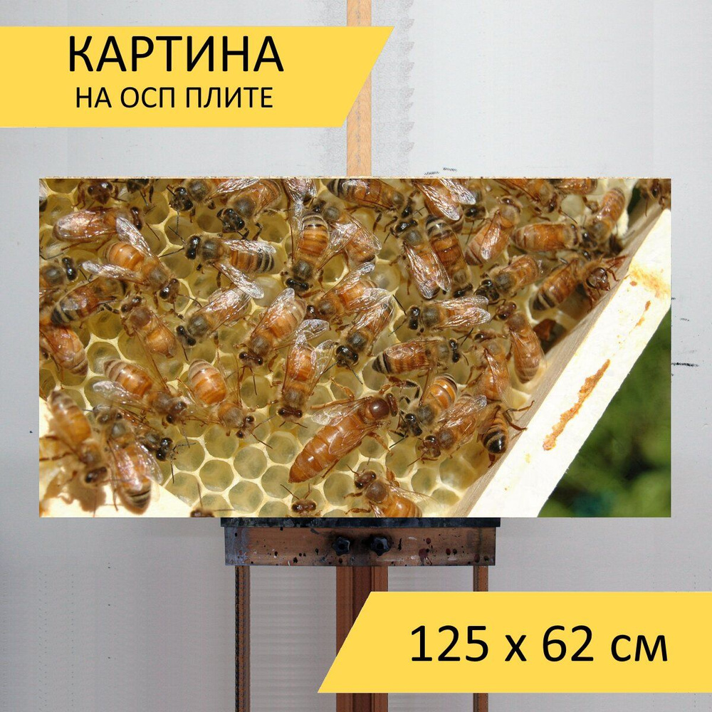 Картина в рамке Bee, коллекция Пчела