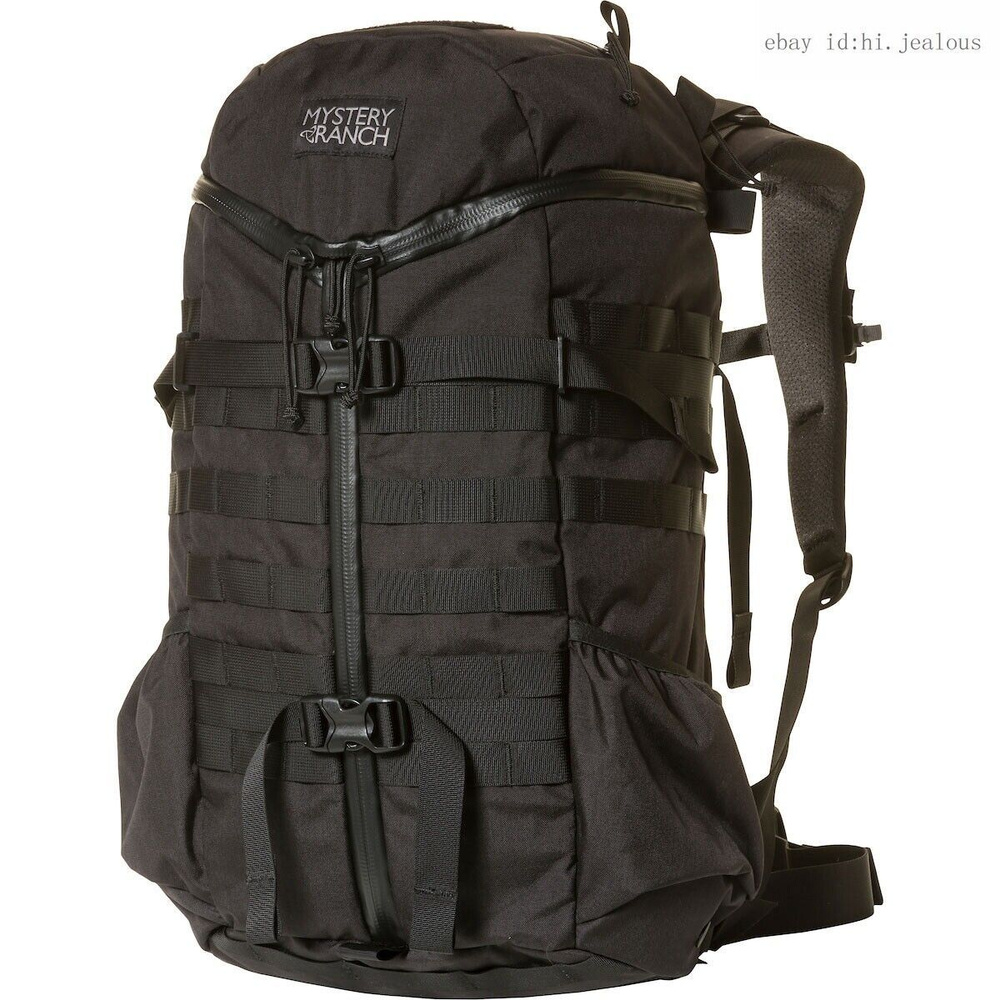 Mystery ranch 2 cheap day assault backpack