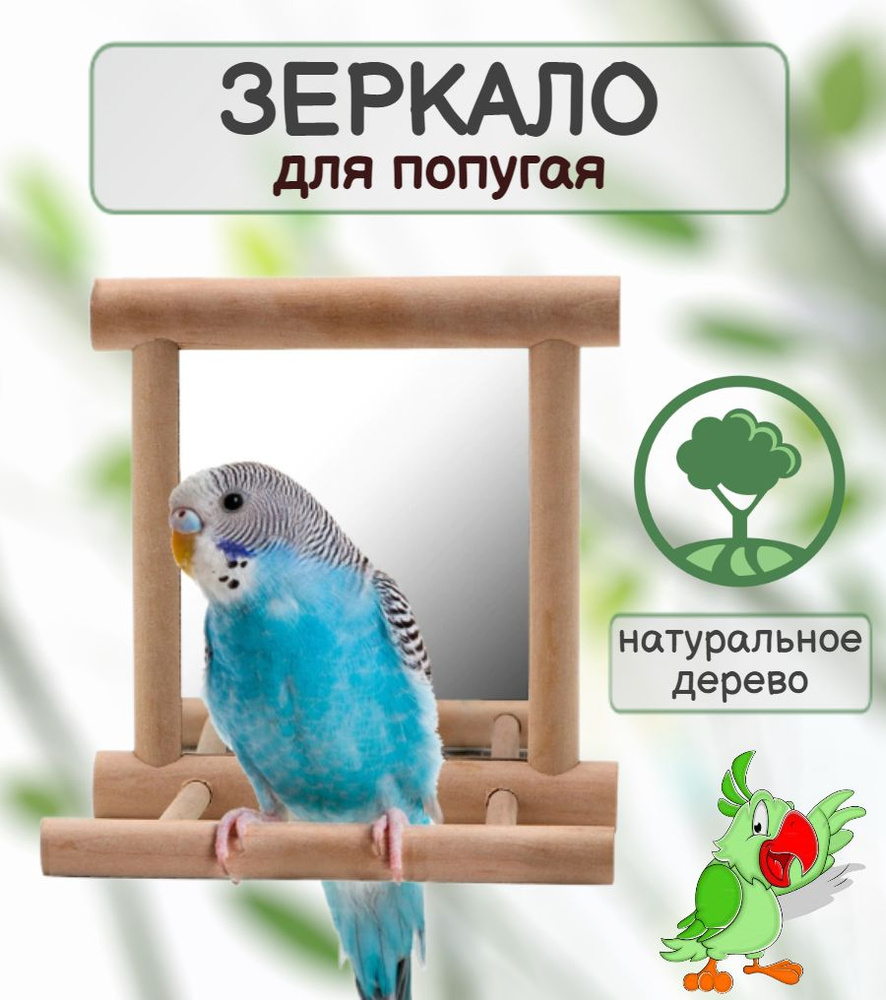 Зеркало для попугая с жёрдочкой, деревянная игрушка для птиц, Discount Shop  - купить с доставкой по выгодным ценам в интернет-магазине OZON (861530881)