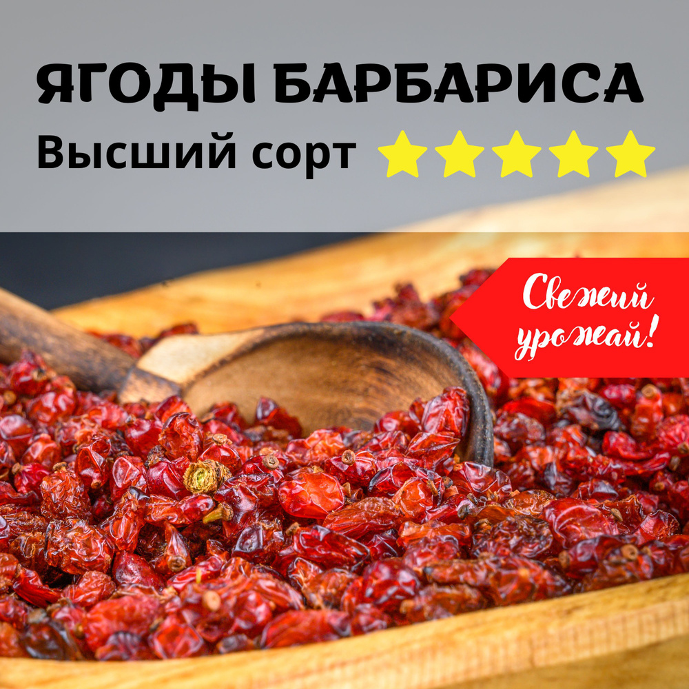 100г Барбарис сушеный, высший сорт, ягода натуральная, Алтай-Экспорт Россия  #1