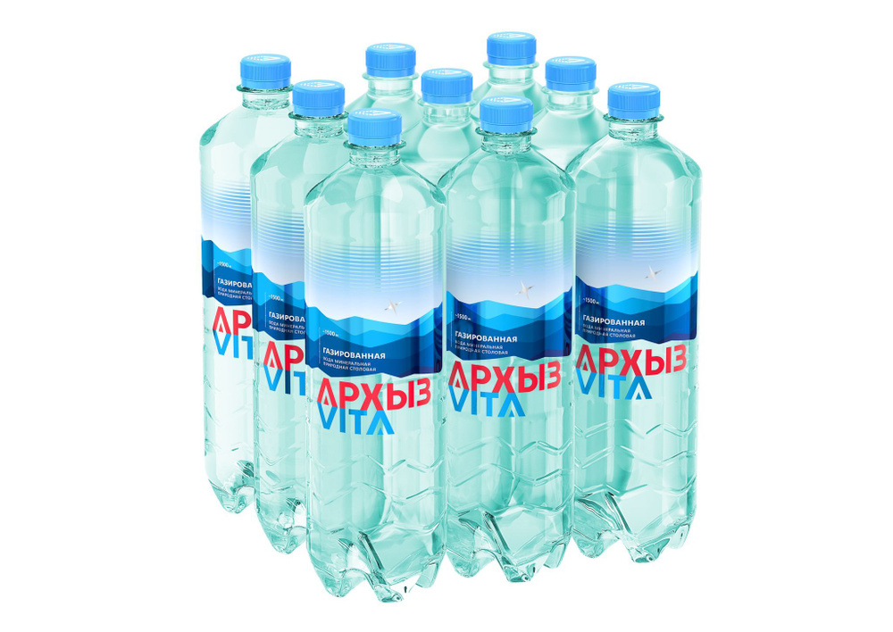 Вода минеральная природная столовая питьевая Архыз Vita газированная 1 л x 9 шт.  #1