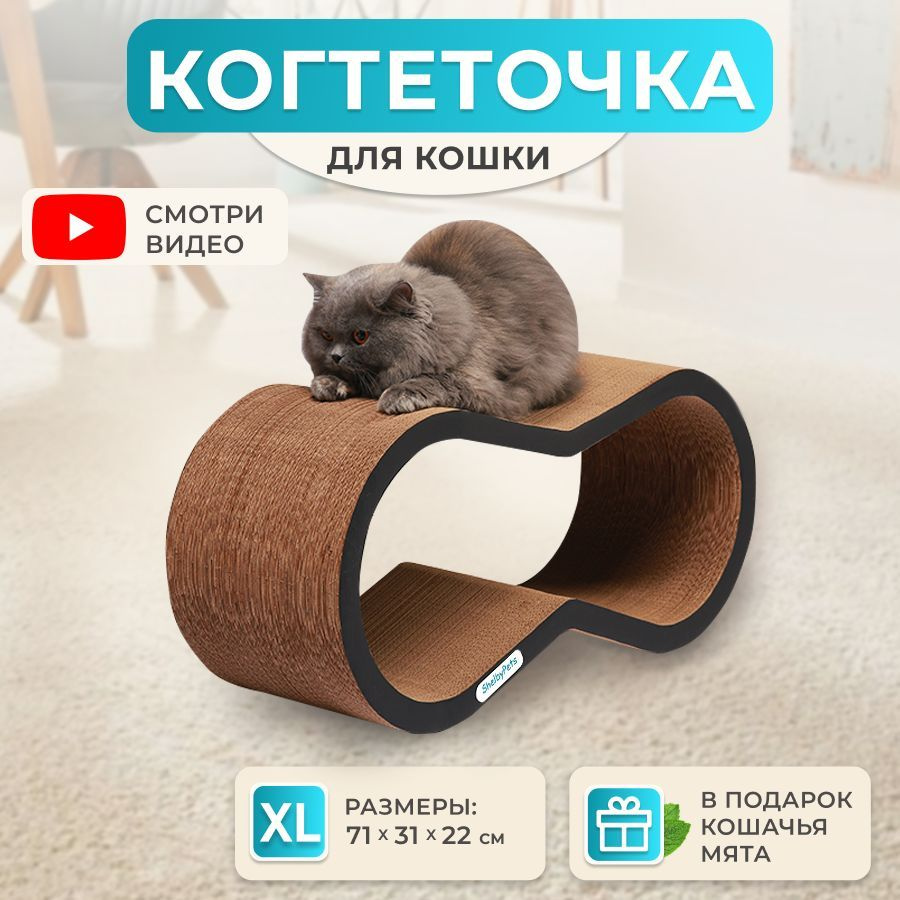 Сделать подарок котику | Приют для кошек 