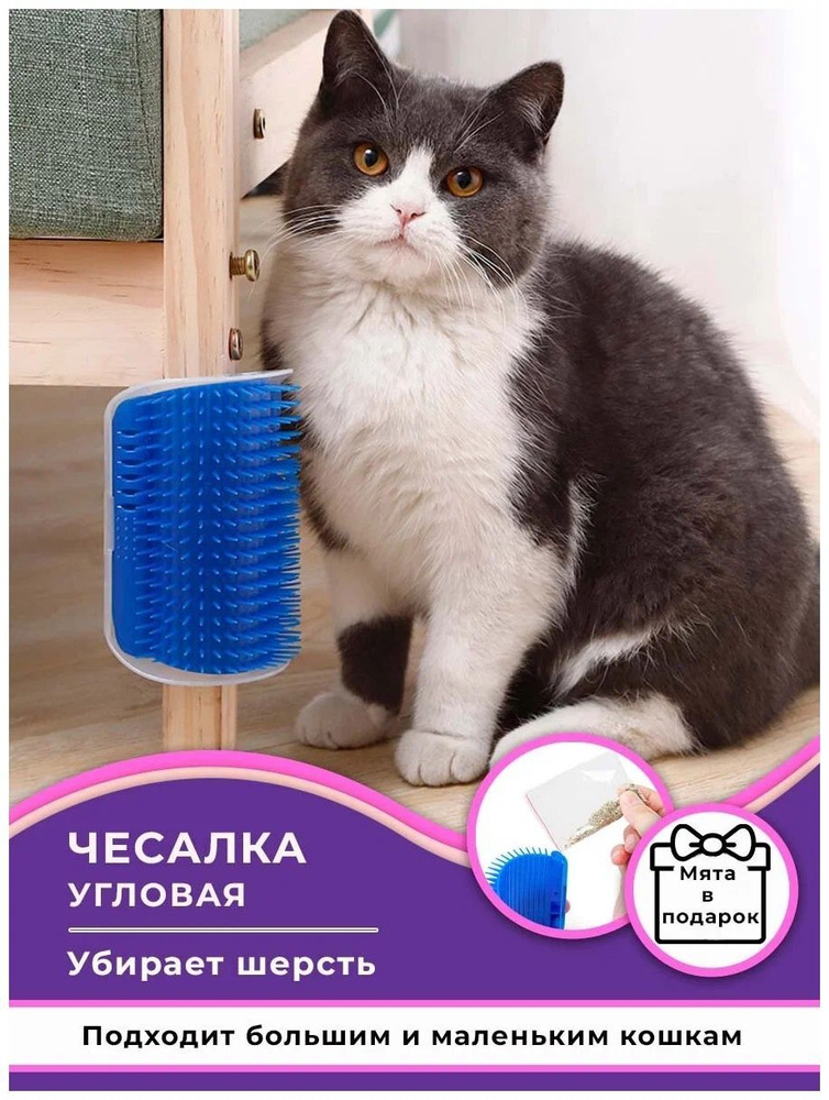 Щетка-чесалка для котов и собак - купить с доставкой по выгодным ценам ...
