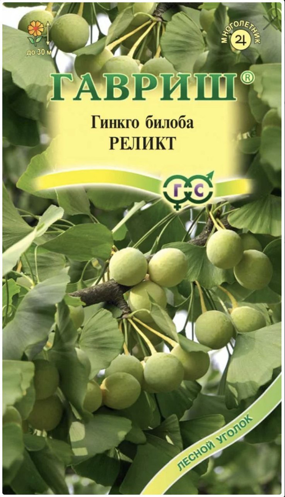 Гинкго билоба Гавриш Деревья и кустарники - купить по выгодным ценам в  интернет-магазине OZON (907853017)