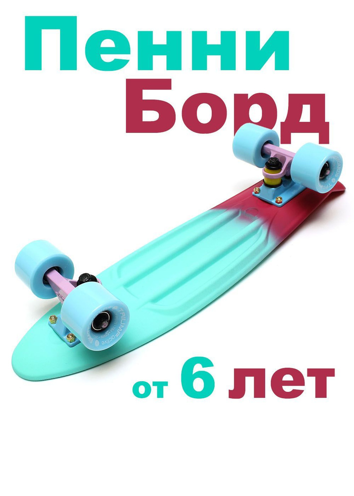 Пенни борд Triumf Active Triumf 2022 Y_TLS-401M Mint 56 - купить по ...