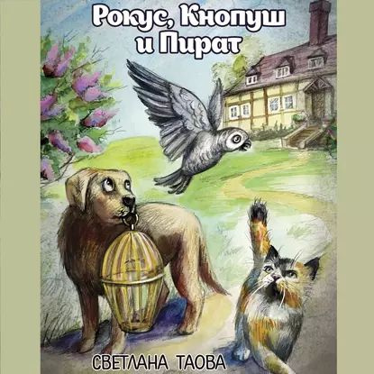 Рокус, Кнопуш и Пират | Таова Светлана | Электронная аудиокнига  #1