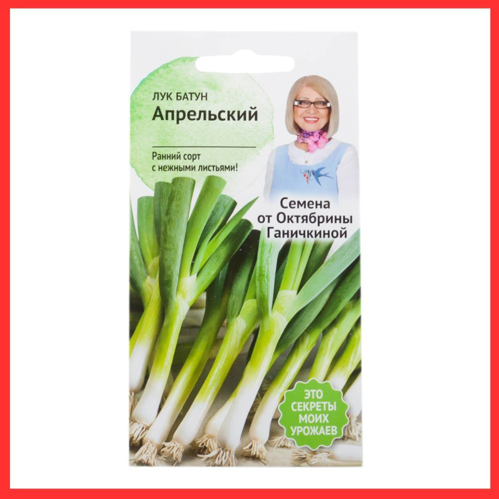 Семена раннего многолетнего Лука батун "Апрельский" 0,5 г для огорода /Овощи в грунт  #1