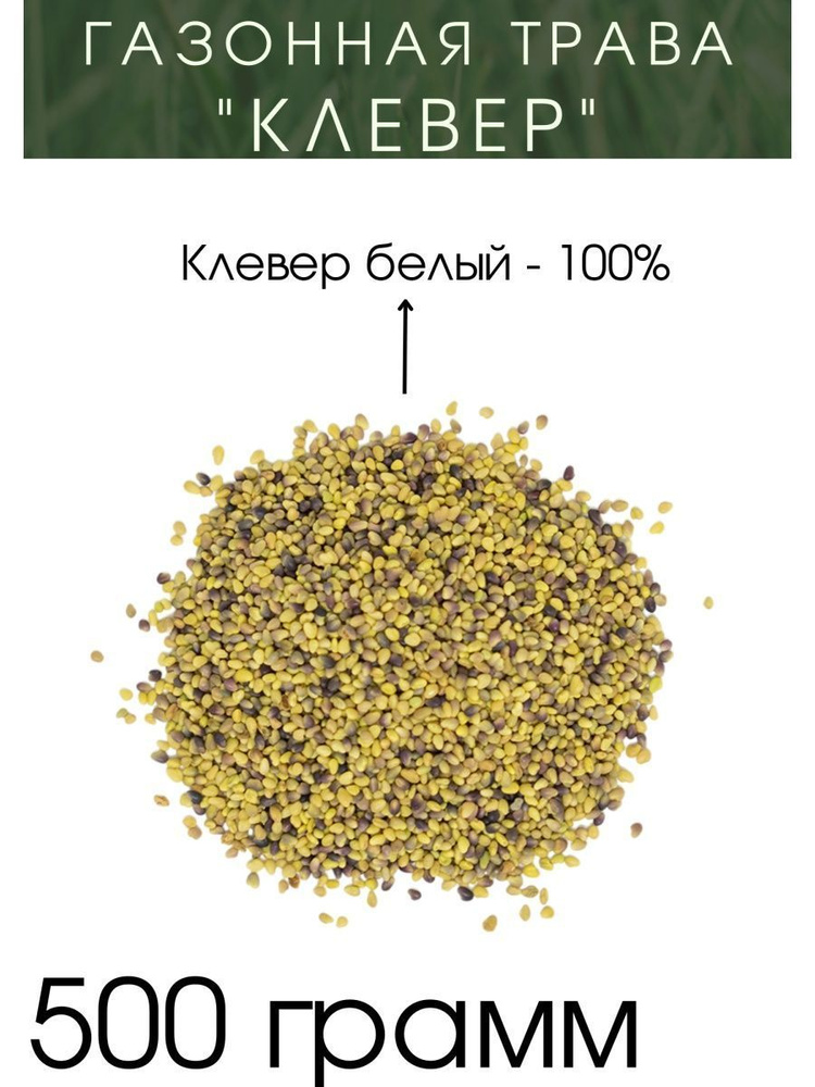 Семена "Клевер" #1