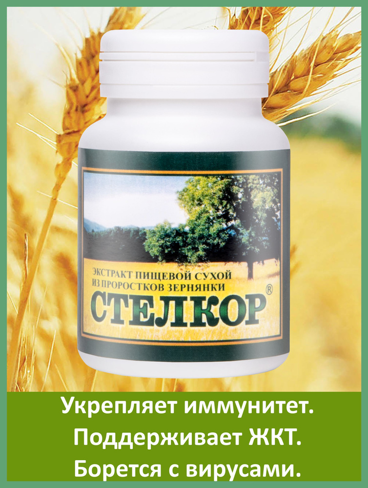 Стелкор. Пробиотик таблетки, 60 шт. экстракт пищевой - купить с ...