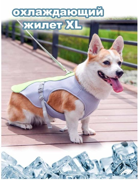 Охлаждающий жилет для собак подходит для крупных, средних и маленьких собак  - купить с доставкой по выгодным ценам в интернет-магазине OZON (1071425716)