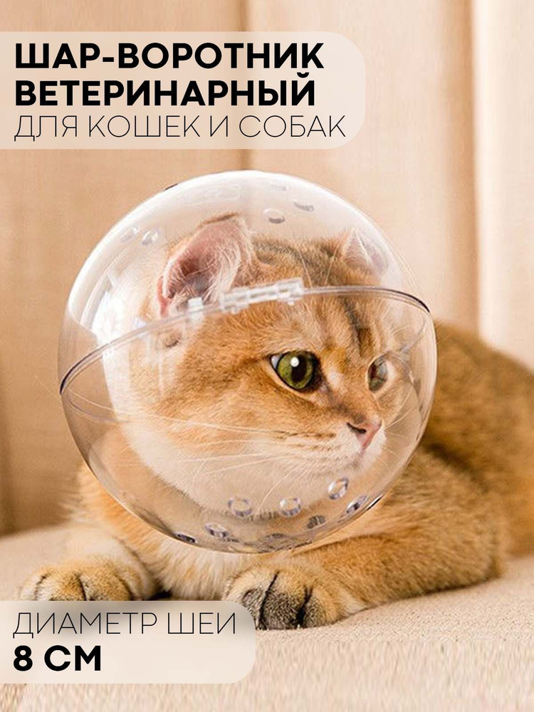 Воротник для кота после кастрации ВетДоктор 24 Киев UA