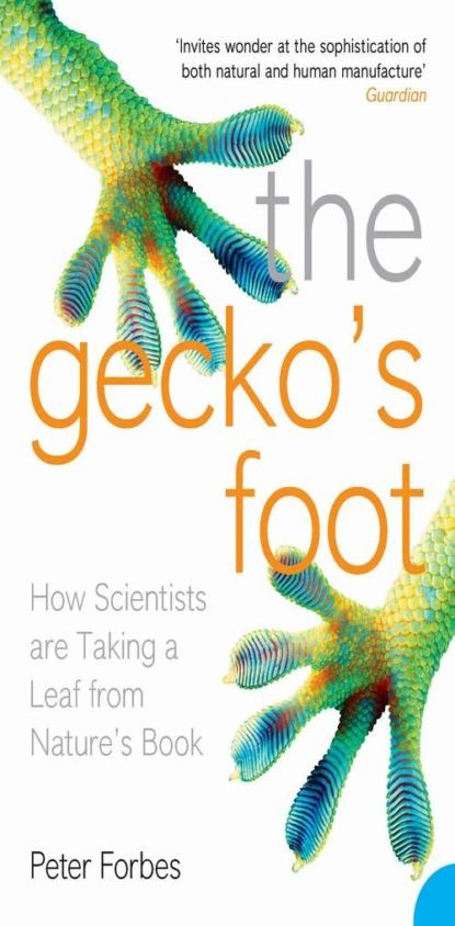 The Geckos Foot: How Scientists are Taking a Leaf from Nature's Book | Forbes Peter | Электронная книга #1