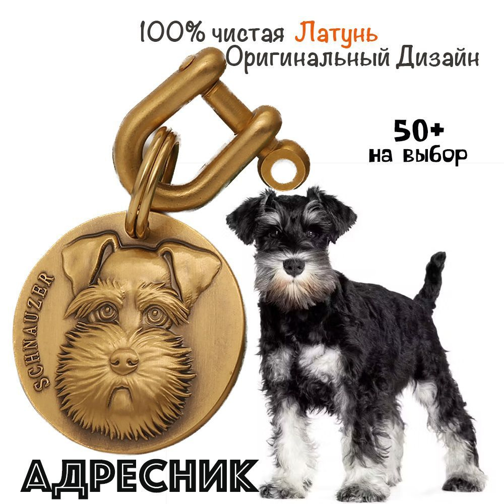 Адресник для собак с пряжкой подковы, из латуни, Большой размер, Форма ...