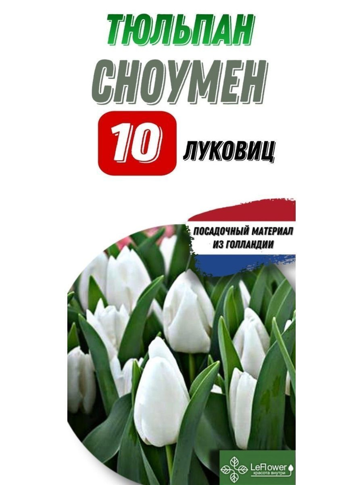 LeFlower Луковицы #1