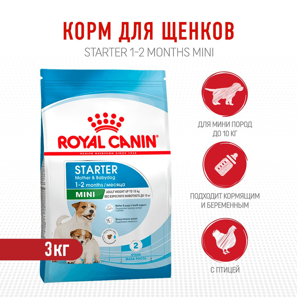 Royal Canin Mini Starter Mother & Babydog сухой корм для щенков мелких  пород до 2 месяцев, беременных и лактирующих сук - 3 кг - купить с  доставкой по выгодным ценам в интернет-магазине OZON (539617049)