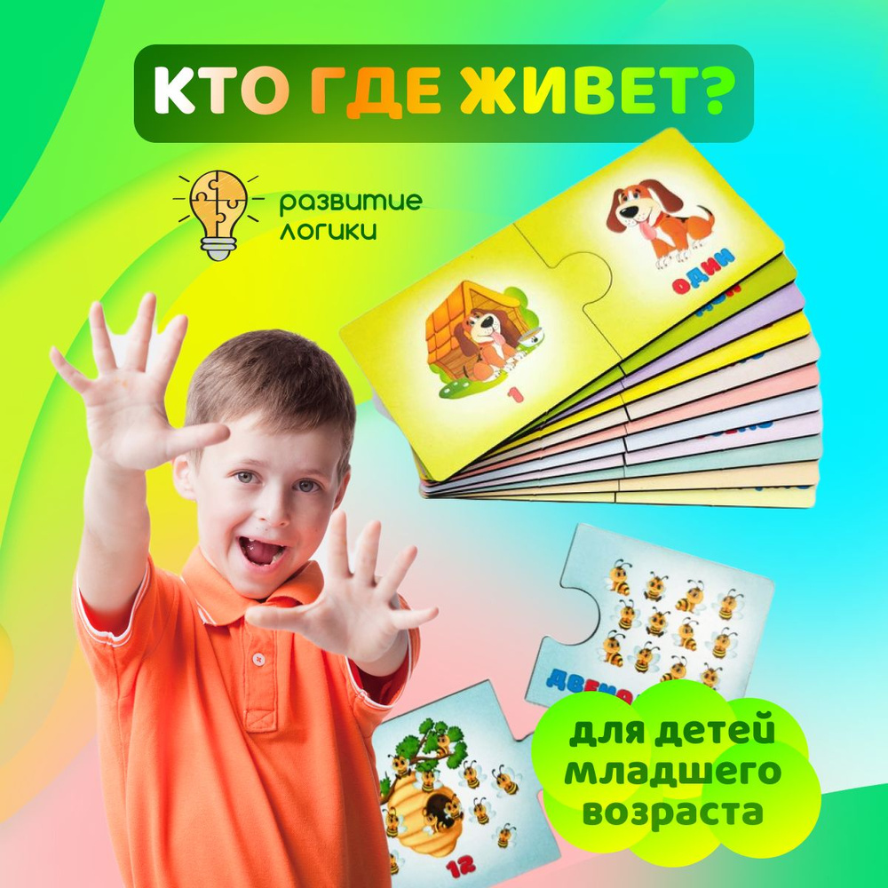 Игра настольная ToySib Логика для детей Кто где живет?