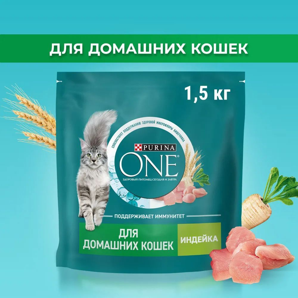 Сухой корм для кошек Purina ONE Housecat при домашнем образе жизни, с  индейкой и цельными злаками, 1,5 кг - купить с доставкой по выгодным ценам  в интернет-магазине OZON (1091565347)