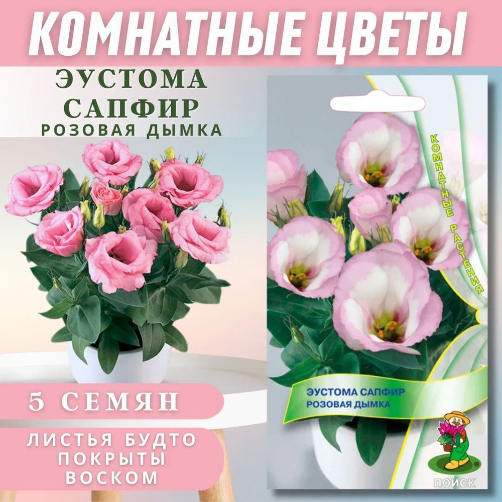 Эустомы ПОИСК Агрохолдинг HomeFlower_светло-розовый_розовый_белый - купить  по выгодным ценам в интернет-магазине OZON (1097179194)