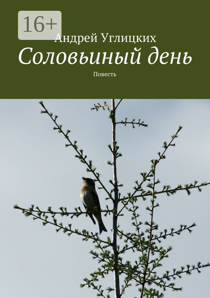 Соловьиный день. Повесть | Углицких Андрей #1