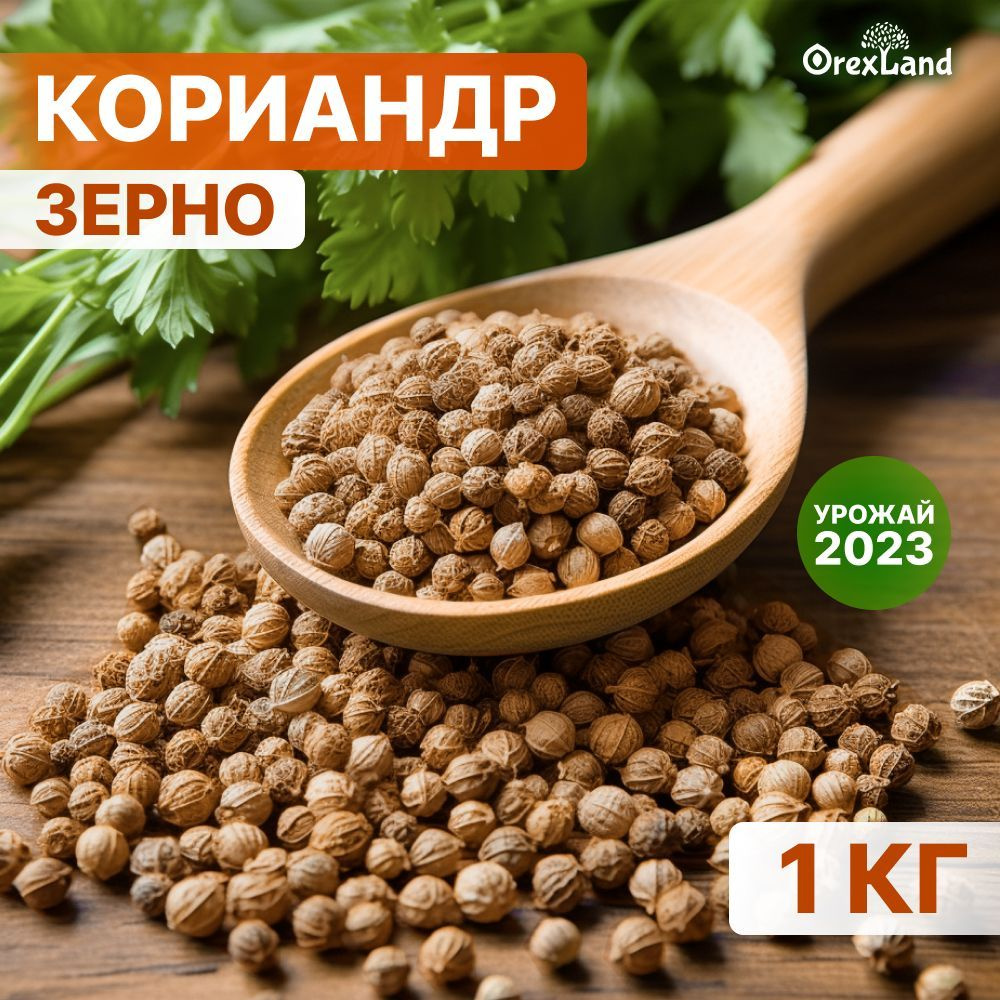 Кориандр зерно, семена кориандра 1000 г (целый, в зернах), orexland  #1