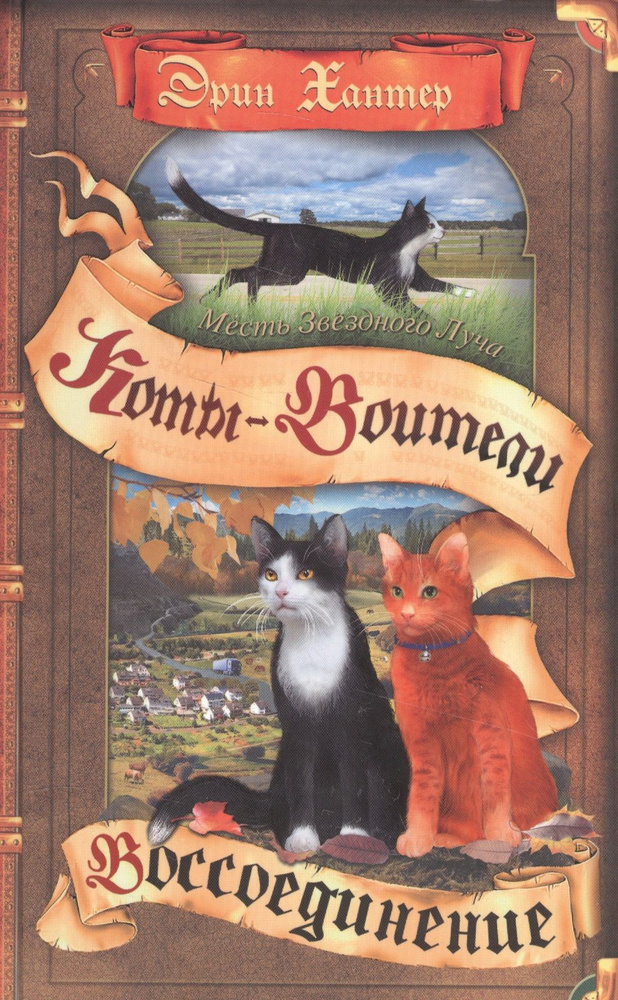 Коты-воители. Испытание Грача. Книга 1. Тени прошлого - купить с ...