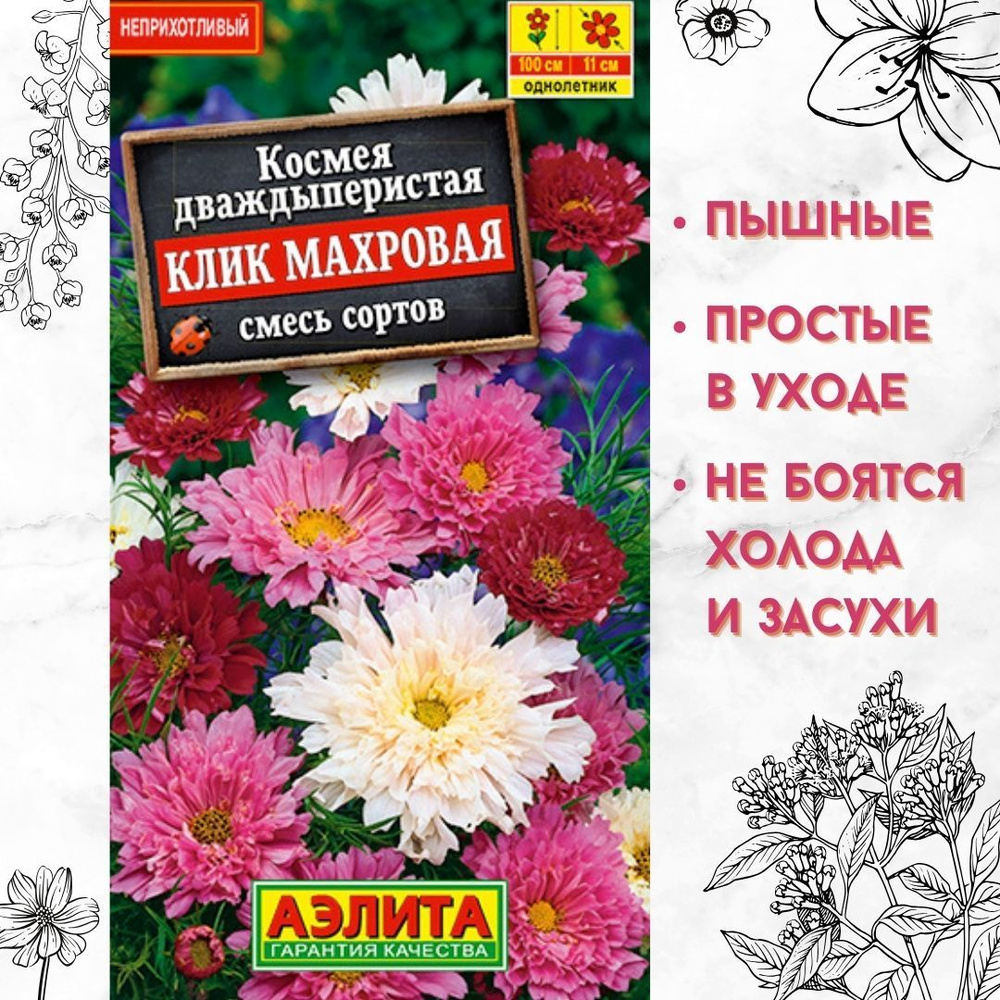 Космеи, Космея Аэлита цветы_Космея семена. Клик махровая (МИКС) - купить по  выгодным ценам в интернет-магазине OZON (874688608)