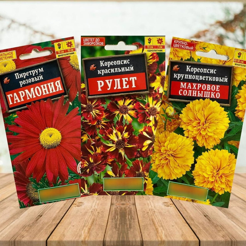 Пиретрум, Кореопсисы Аэлита Набор семена цветов для сада Кореопсис и ...