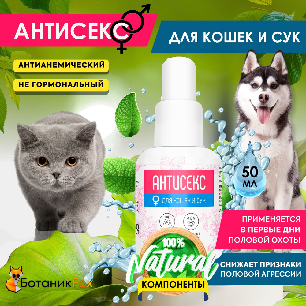 Капли для кошек и сук АНТИСЕКС, Good Dog & Cat - купить с доставкой по  выгодным ценам в интернет-магазине OZON (668695976)