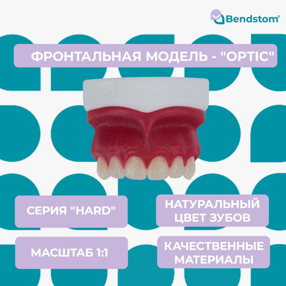 Фронтальная модель "Optic" с натуральными зубами верхней челюсти для ...