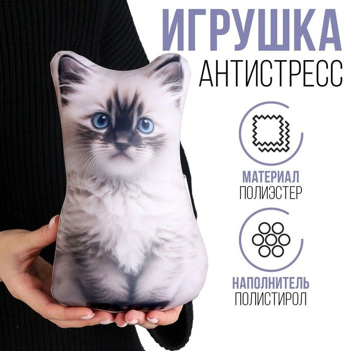 Антистресс игрушка Котик Рэгдолл - купить с доставкой по выгодным ценам ...