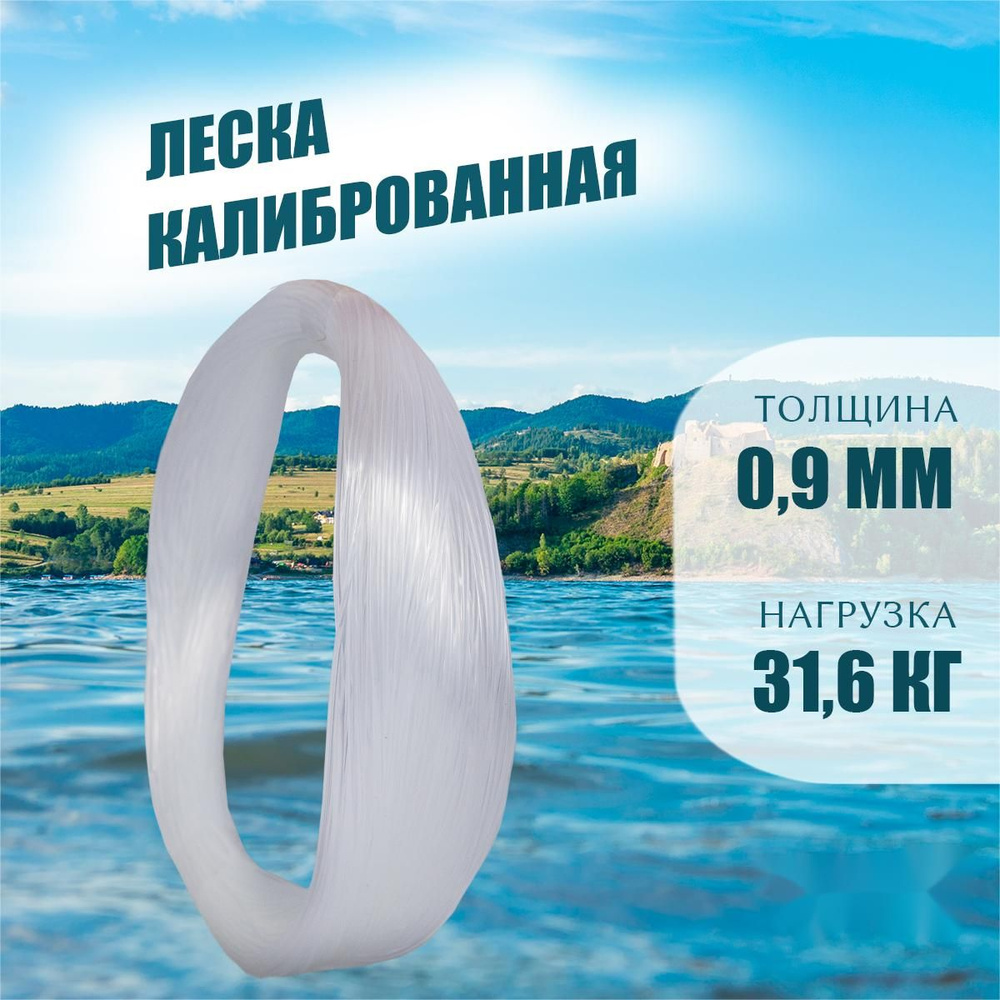 ASIANFISH Монофильная леска для рыбалки, размотка: 80 м, толщина: 0.9 мм  #1